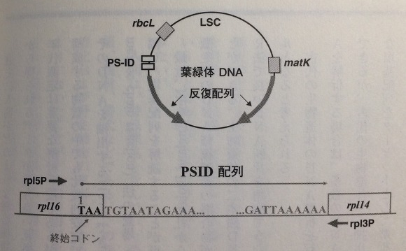 유라시아 농경사 권1 -어디까지 쓰이는가? DNA