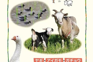 제초용 동물과 살다 -목차